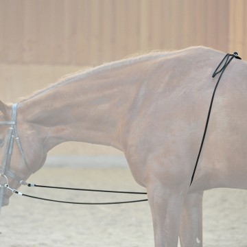 Kavalkade longeerhulp