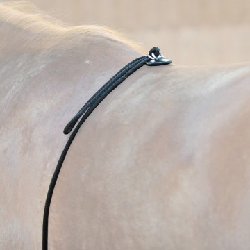 Kavalkade longeerhulp