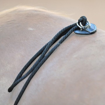 Kavalkade longeerhulp