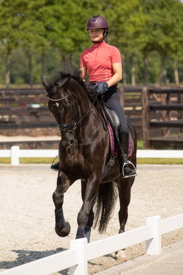 Shirt Assoul holly berry