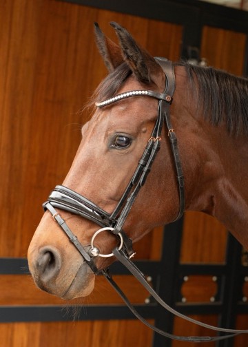 Hoofdstel Rosegold Lacque