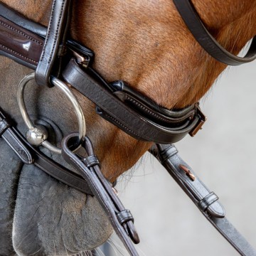 Hoofdstel copper bruin