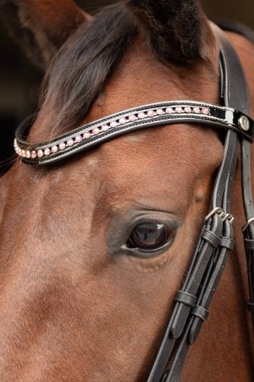 Hoofdstel Allegro zwart