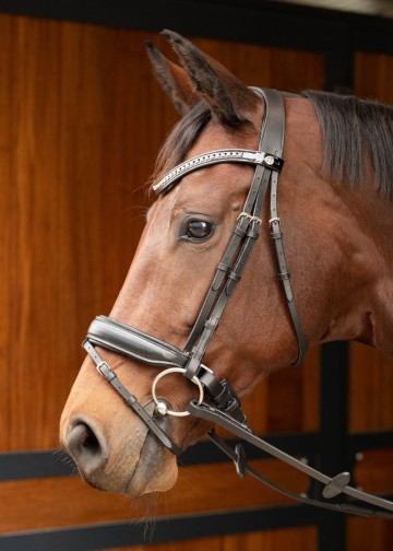 Hoofdstel Allegro zwart