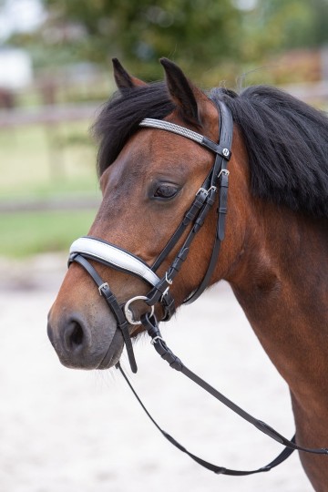 Hoofdstel Diva Stella