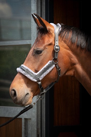 Halster leder anatomic furry matt