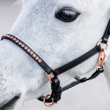 Halster leder crystal rosegold zwart