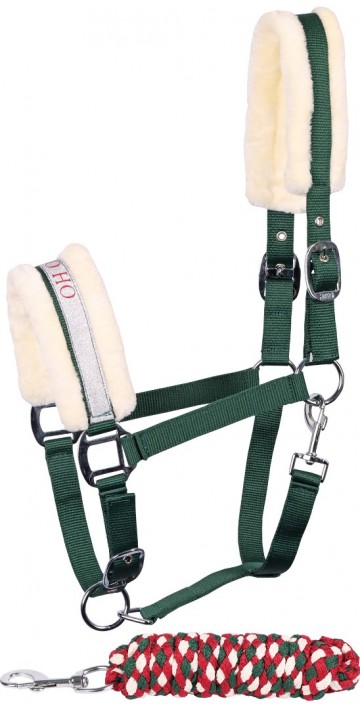 Halsterset Christmas groen