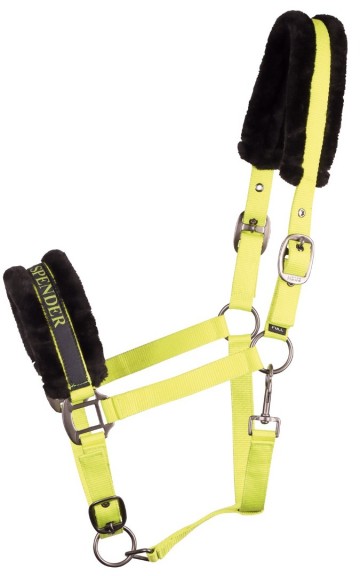 Halster Lyrics Quotes lime