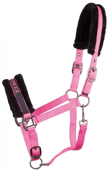 Halster Lyrics Quotes roze