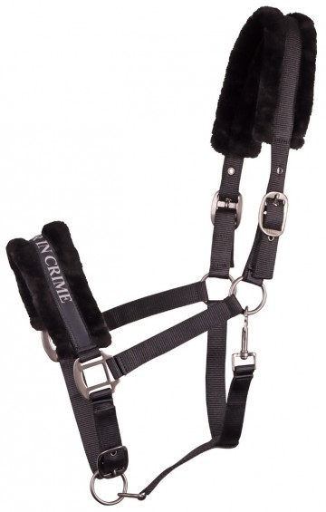 Halster Lyrics Quotes zwart