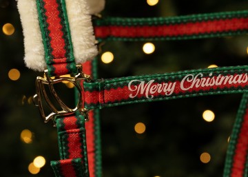 Halsterset en muts kerst