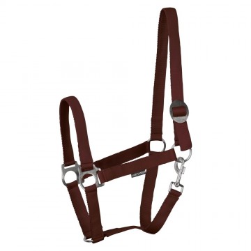 Halster Economy bordeaux