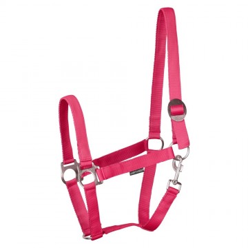 Halster Economy fuchsia