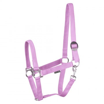 Halster Economy lila