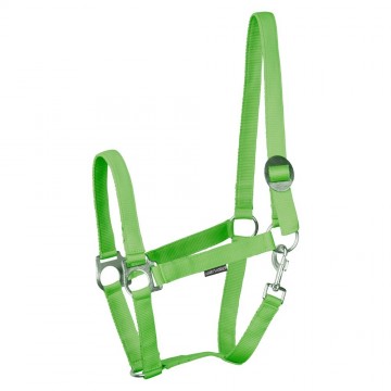 Halster Economy lime