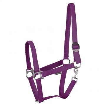 Halster Economy paars