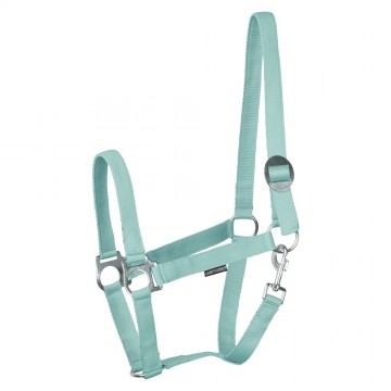 Halster Economy turqoise