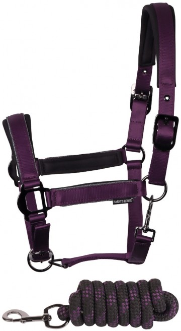 Halsterset Satin DC Amethyst