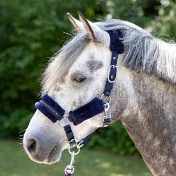 Halsterset Denici Cavalli purple passion peacoat