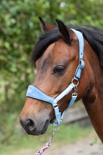 Diva Stella lichtblauw