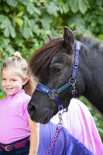 Halsterset Diva Violet wisteria