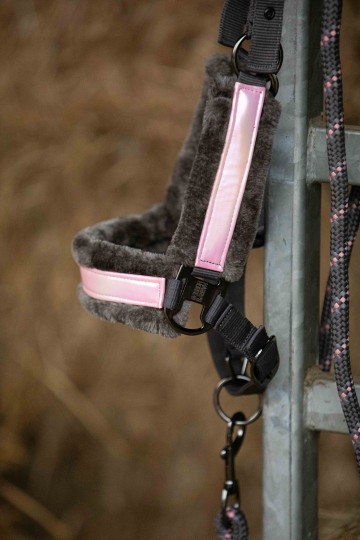 Halsterset Just ride urban