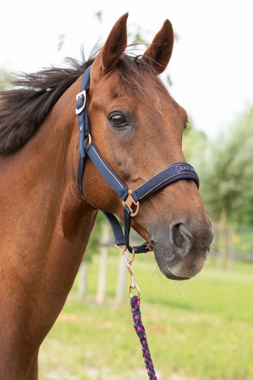 Halsterset Just Ride Nightsky navy