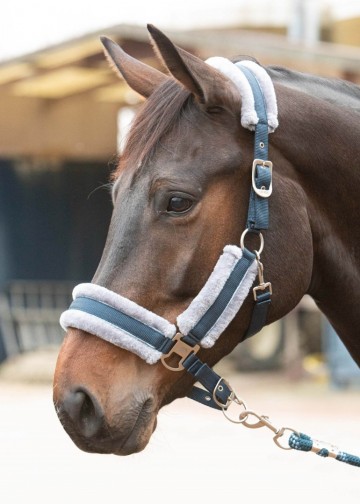 Halsterset Just Ride Retro soft navy