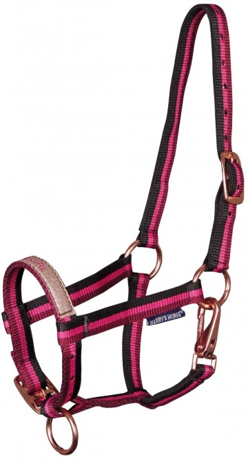 Veulenhalster Anton cactus flower