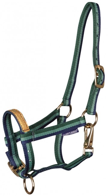 Veulenhalster Anton frosty spruce