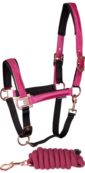 Halsterset El Pinto cactus flower