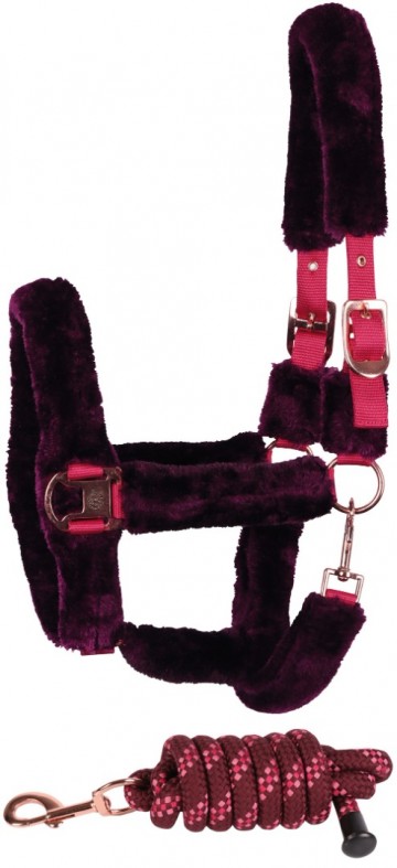 Halsterset Reine fig