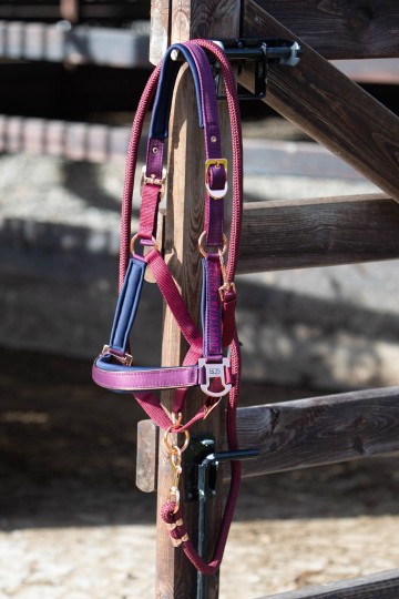 Halsterset Kirchberg beaujolais