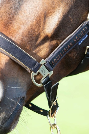 Halsterset Kirchberg jet black