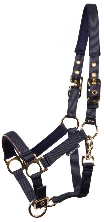 Veulenhalster Pepper blueberry