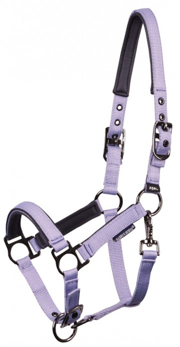 Veulenhalster Pepper persian violet