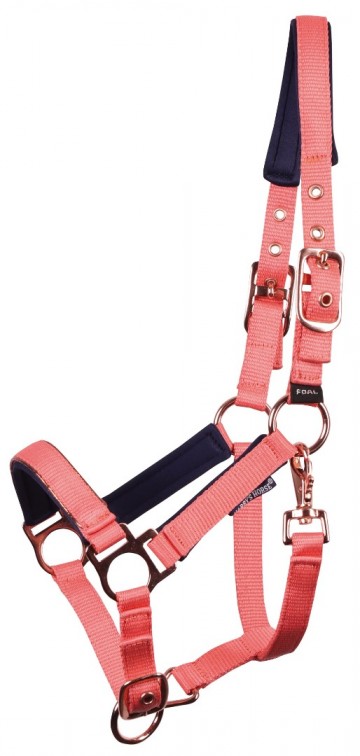 Veulenhalster Pepper porcelain rose