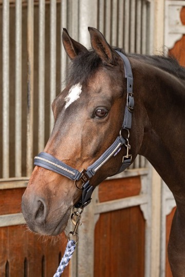 Halsterset Valli asphalt