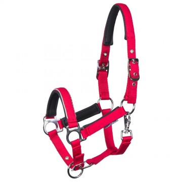 Veulenhalster Metal barberry