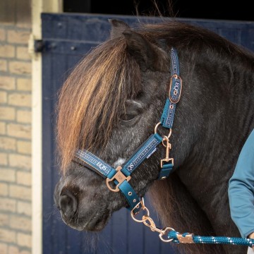Halsterset equestrian society moonlit ocean