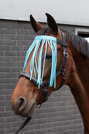 Vliegenfrontriem colour lichtblauw