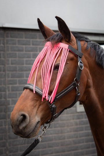Vliegenfrontriem colour roze