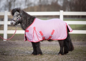 Stout coral vliegendeken