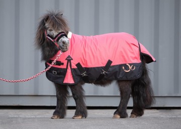 Regendeken Stout coral