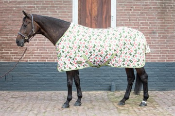 Vliegendeken zonder hals Vlinder