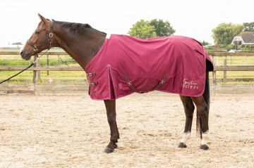 Harry's Horse regendeken Thor 0 gr purple potion