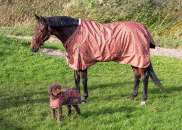 Regendeken Thor Sierra