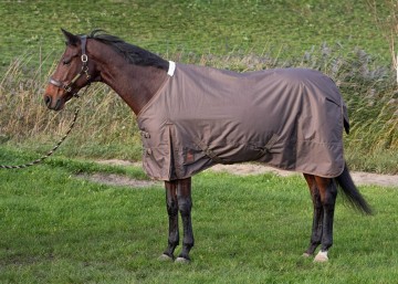 Outdoordeken Thor 200 grams carafe