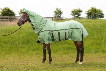 Vliegendeken mesh pro belly mistletoe